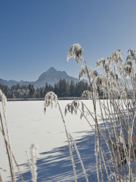 Winter am Hopfensee mit Säuling im Hintergrund.