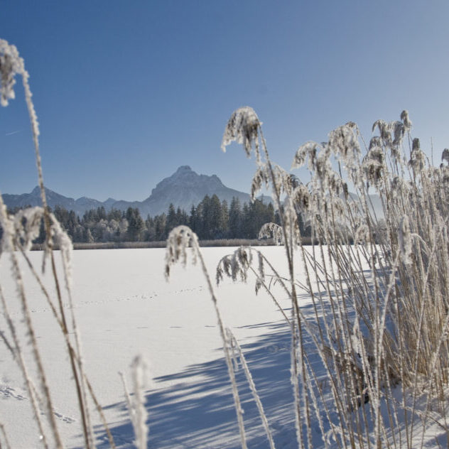 Winter am Hopfensee mit Säuling im Hintergrund.