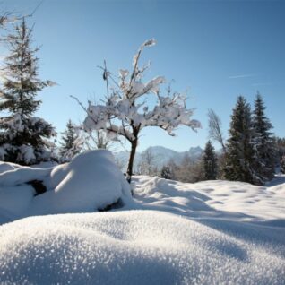 Winterlandschaft im Allgäu.